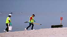 Biloxi Cleanup Crews